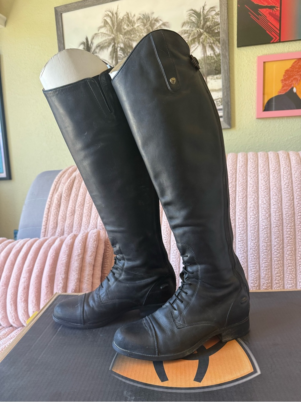 Riding boots - Picture 6 of 16